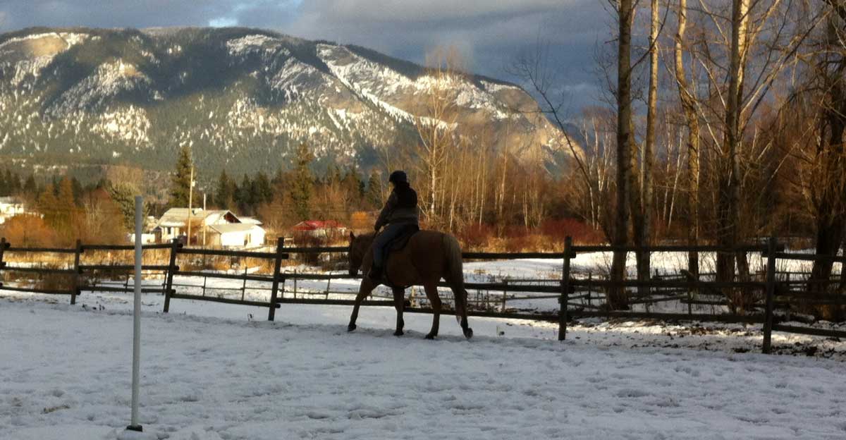 Horse riding in the wintertime at Gleneden Ridge farm.